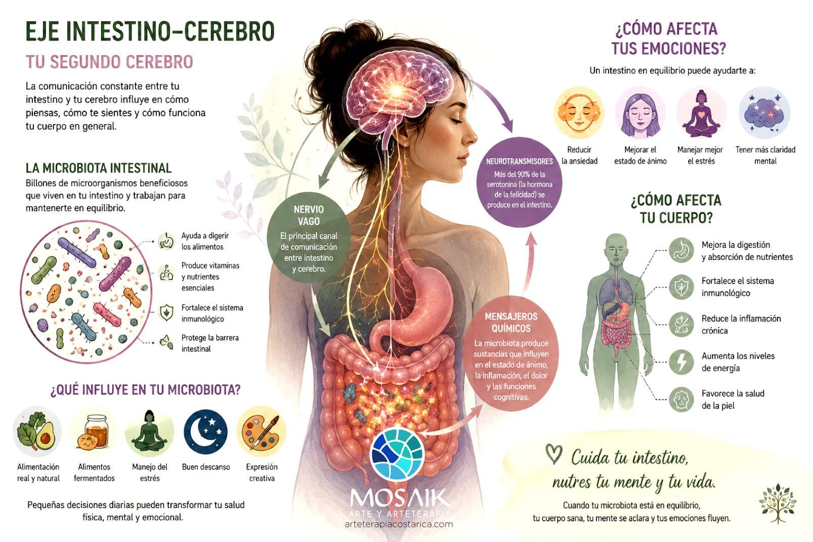 eje intestino cerebro arteterapia costarica