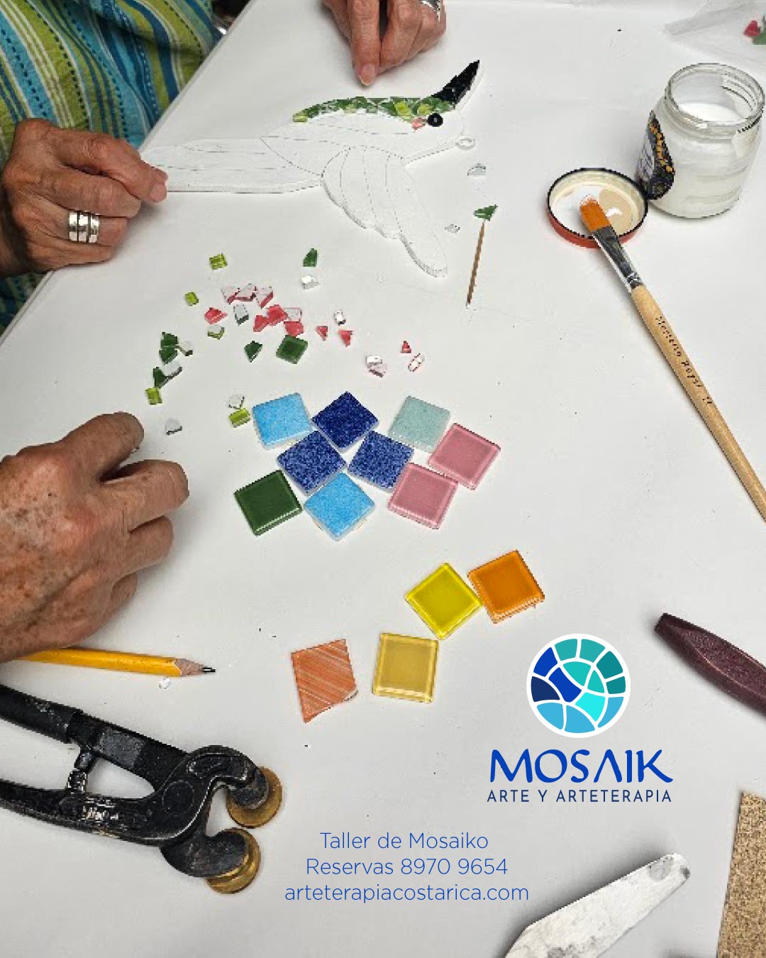 colibrienmosaiko costarica03
